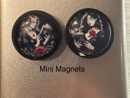 Set of 2 mini magnets