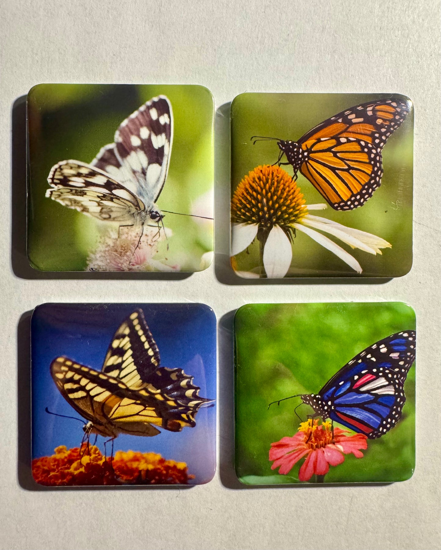 Butterflies on flowers 4 pack