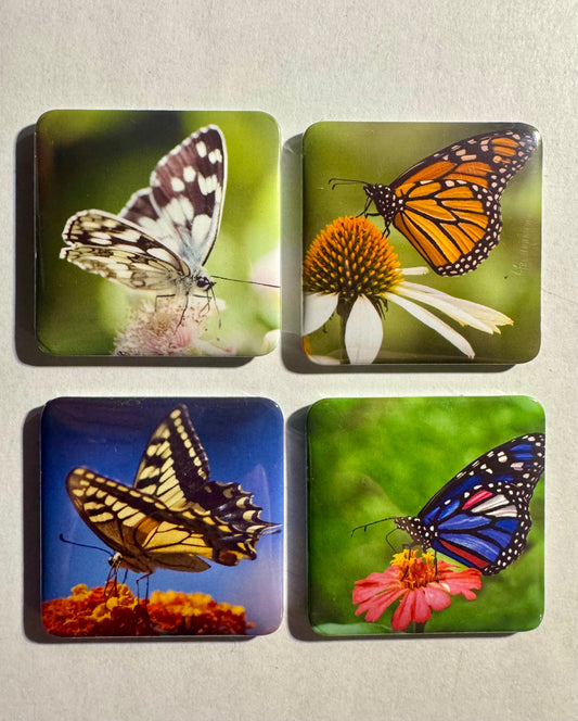 Butterflies on flowers 4 pack