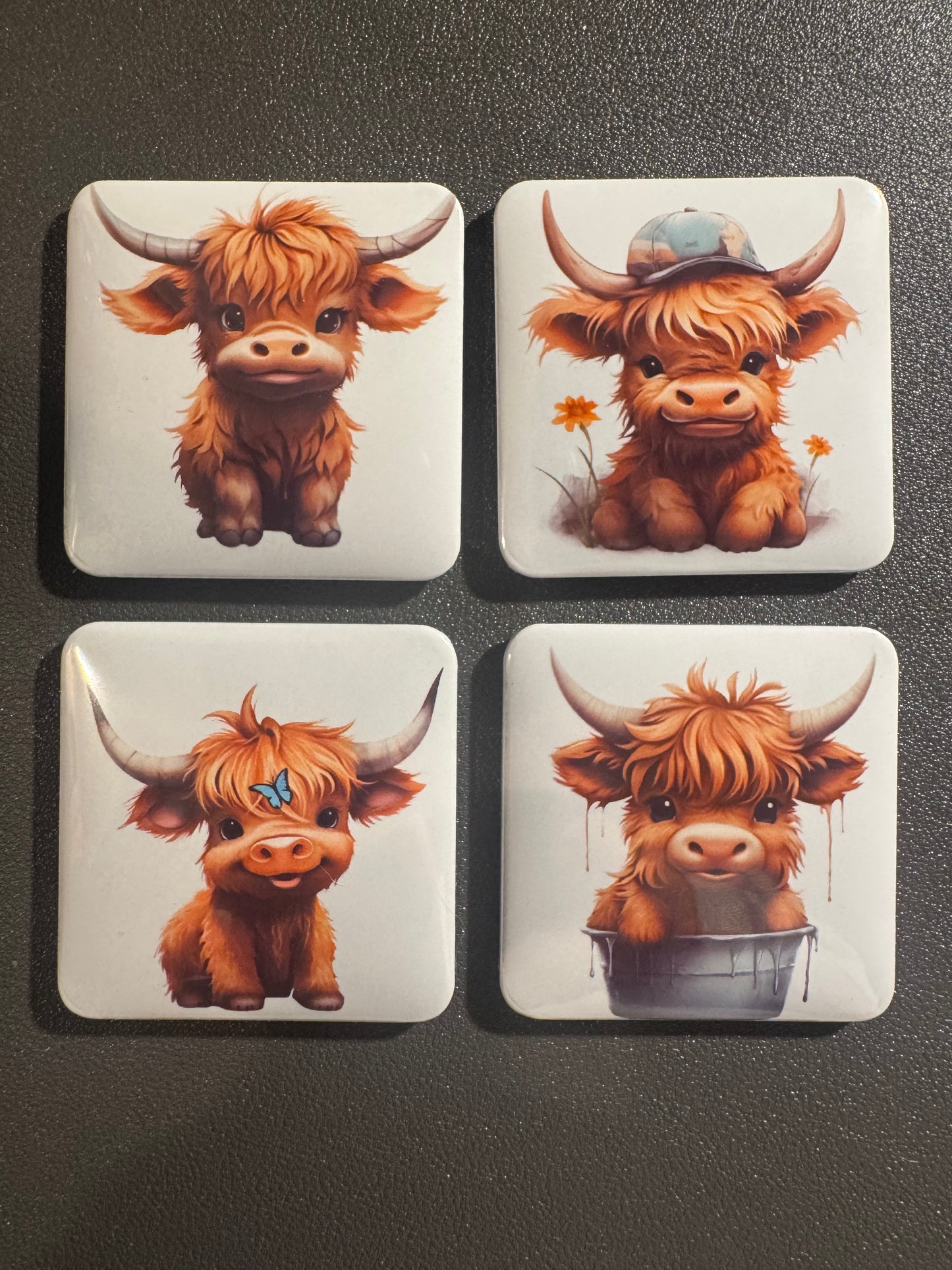 4 baby highland cow magnets
